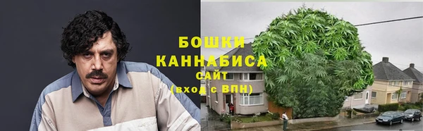 PSILOCYBIN Лабытнанги