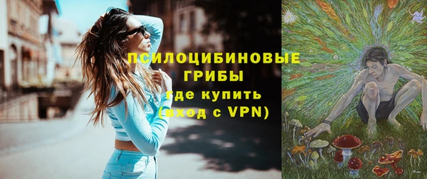 PSILOCYBIN Лабытнанги