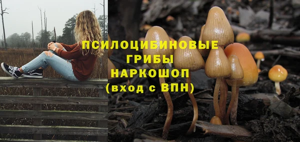 PSILOCYBIN Лабытнанги