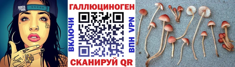 MEGA онион  Павловский Посад  Галлюциногенные грибы Psilocybe 