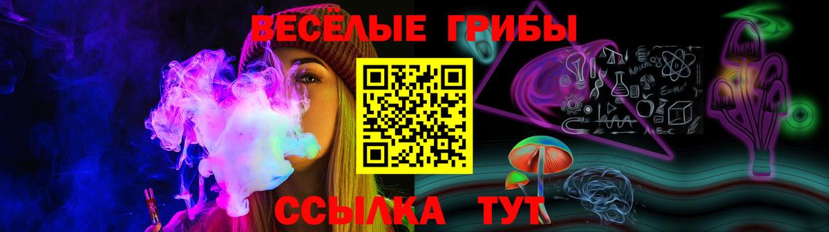 Павловский Посад  Псилоцибиновые грибы Magic Shrooms  где купить наркоту  Вход с VPN 